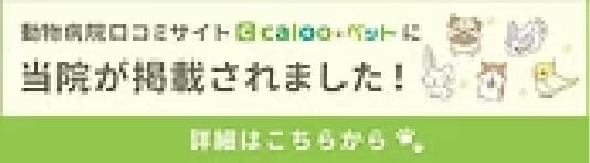 calooペット